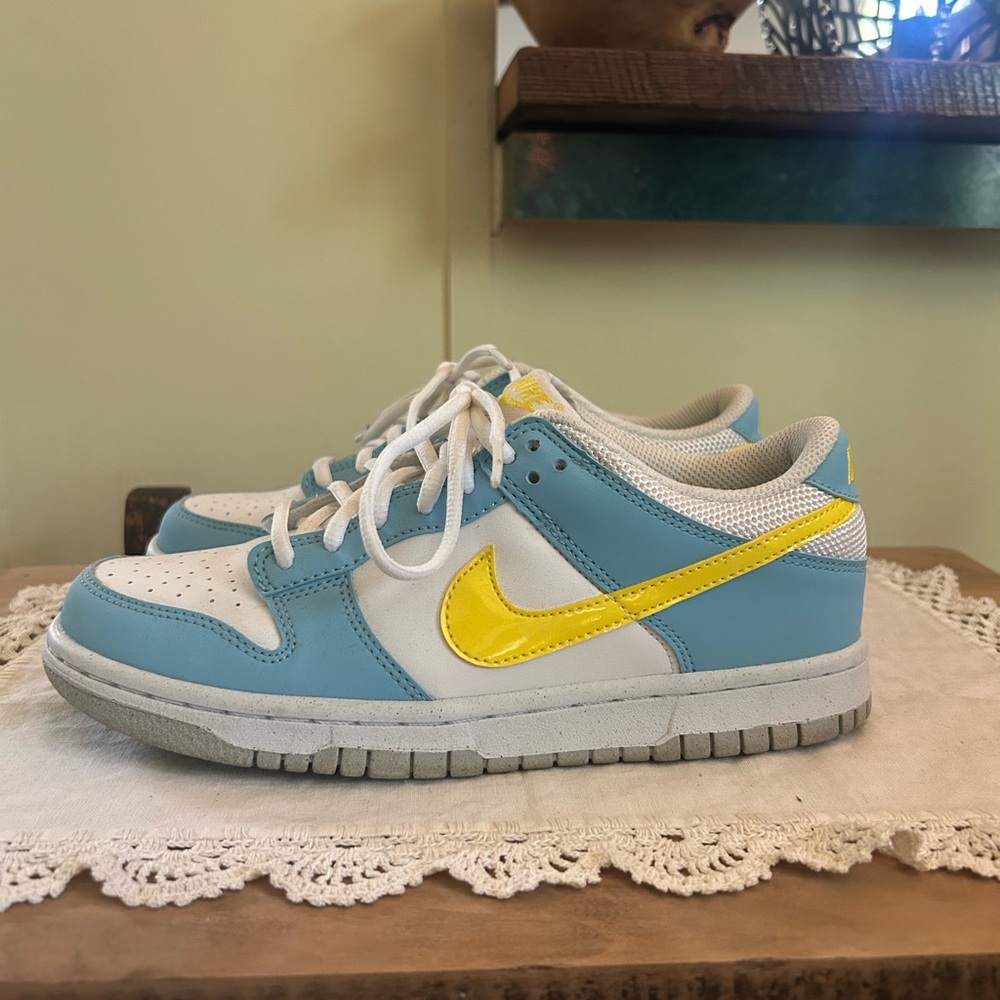 Nike dunks youth